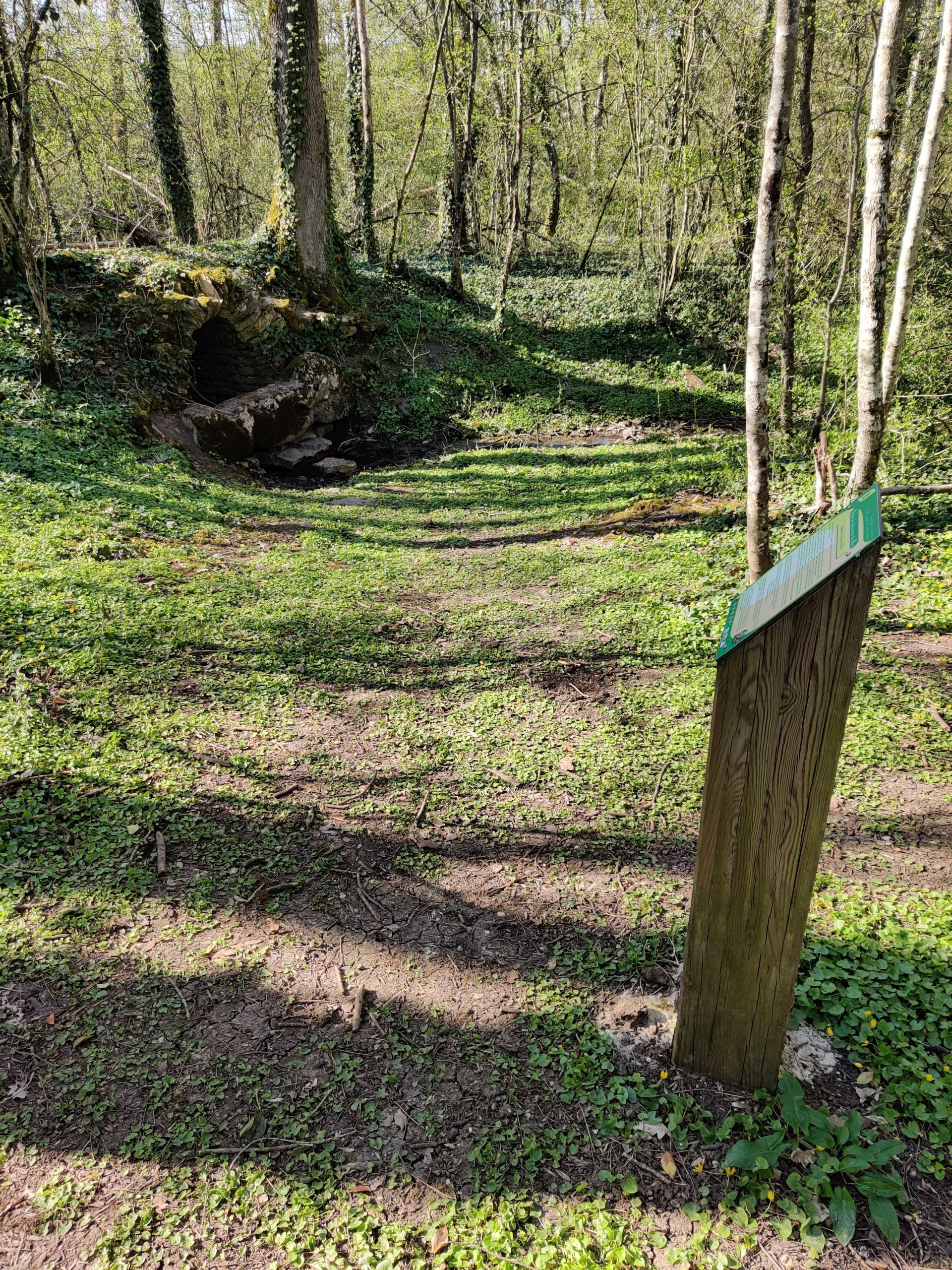 Sentier Découverte du Bué